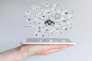 數字營銷革命引領中國制造邁向中國品牌租賃服務